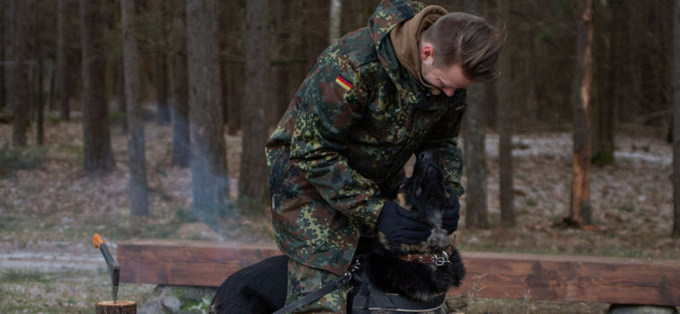 <p>Selección de Flecktarn</p>