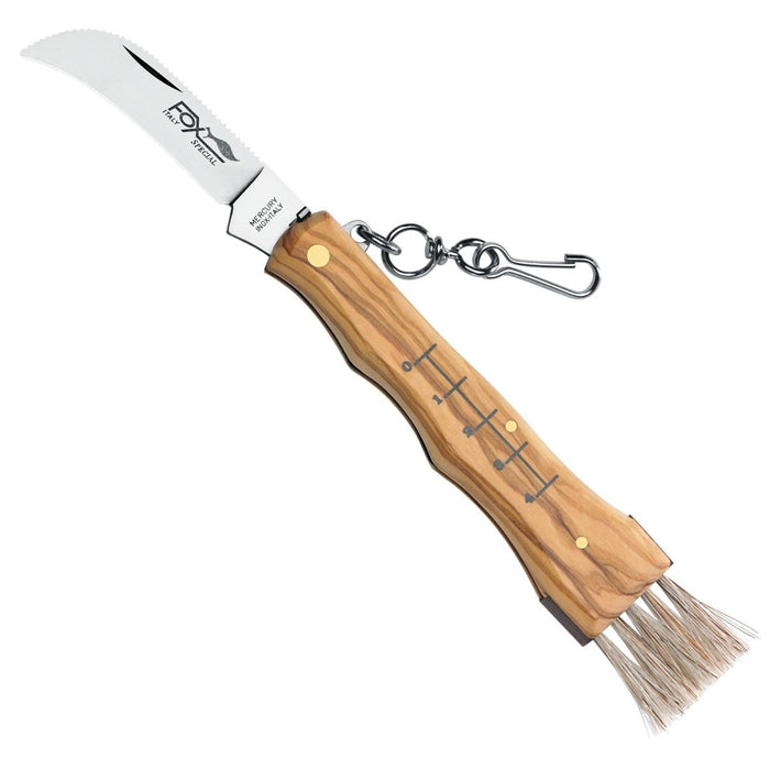 FoxKnives MUSHROOM KNIFE 405 OL Cuchillo Seta Fijo Acero Inoxidable AISI 420C - GoMilitar