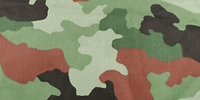 M93 Hoja de Roble