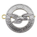 Emblema original del águila de la insignia del metal del cuerpo de entrenamiento aéreo militar británico