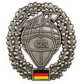Insignia de boina del ejército alemán Original, Insignia CIR, Pin de Metal excedente militar